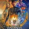 Wakanda Forever Paint By Numbers