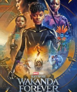 Wakanda Forever Paint By Numbers