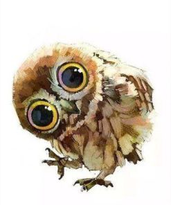 Cute Eastern Screech Owls Paint By Numbers