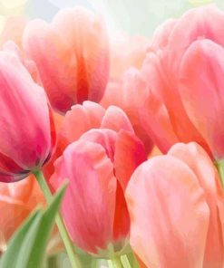 Coral Tulip Blooms Paint By Numbers