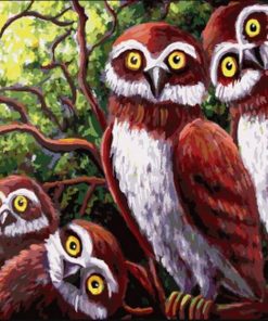 Owl Family Picture Paint By Numbers
