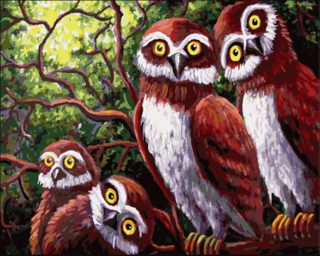 Owl Family Picture Paint By Numbers