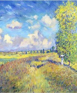 Summer Poppy Field Nature Paint By Numbers