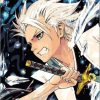 Toshiro Hitsugaya Anime Paint By Numbers