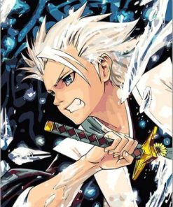 Toshiro Hitsugaya Anime Paint By Numbers