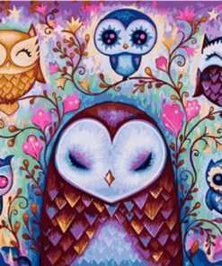Female Owl Art Paint By Numbers