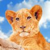 Blue Sky Lioness Art Paint By Numbers