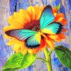 Sunflower Butterfly Paint By Numbers