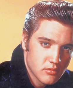 Elvis Presley Tribute Paint By Numbers
