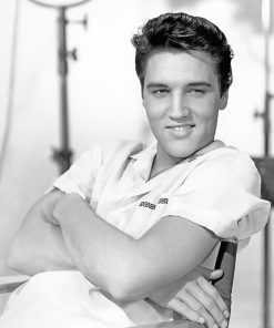 Elvis Presley Iconic Singer Paint By Numbers