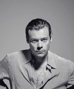 Harry Styles Photoshoot Paint By Numbers