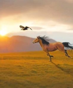 Spirit Stallion Paint By Numbers