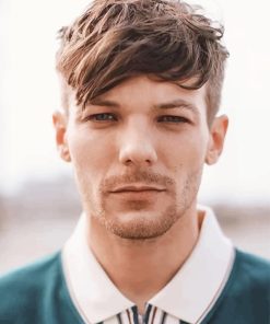 Louis Tomlinson Singer Paint By Numbers