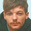 Louis Tomlinson One Direction Paint By Numbers