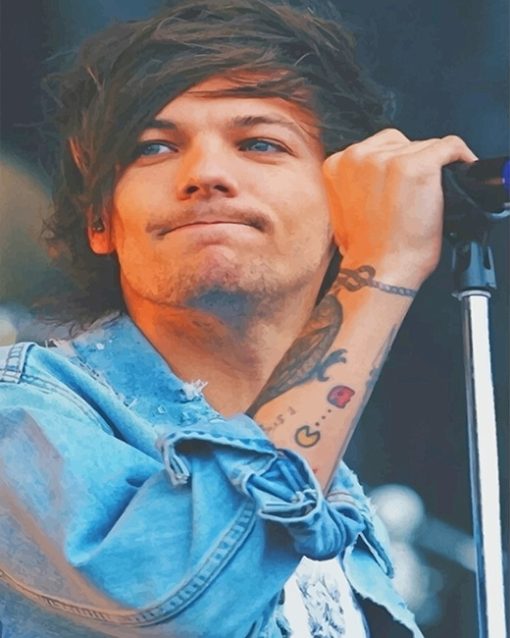 Louis Tomlinson One Direction Paint By Numbers