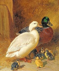 Mallard Ducks at Play Paint By Numbers