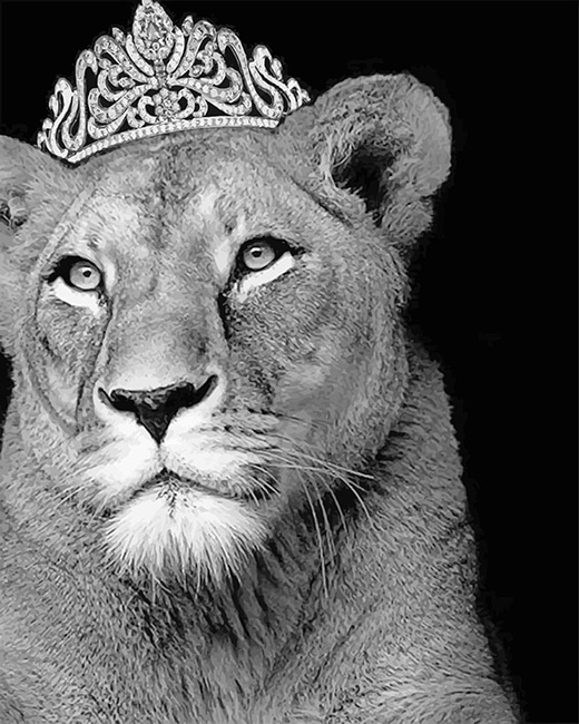 finalizing the Queen Lioness artwork