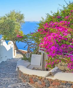Santorini Greece Pink Blooms Paint By Numbers