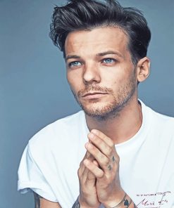 Louis Tomlinson Creative Paint By Numbers