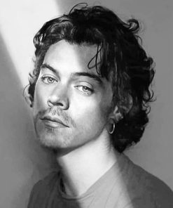 Harry Styles Monochrome Paint By Numbers