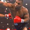 Mike Tyson Boxing Legend Paint By Numbers