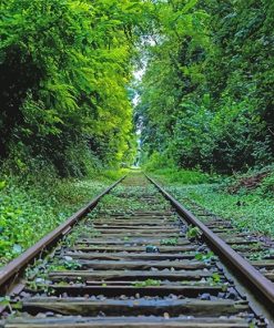 Green Train Railway View Paint By Numbers