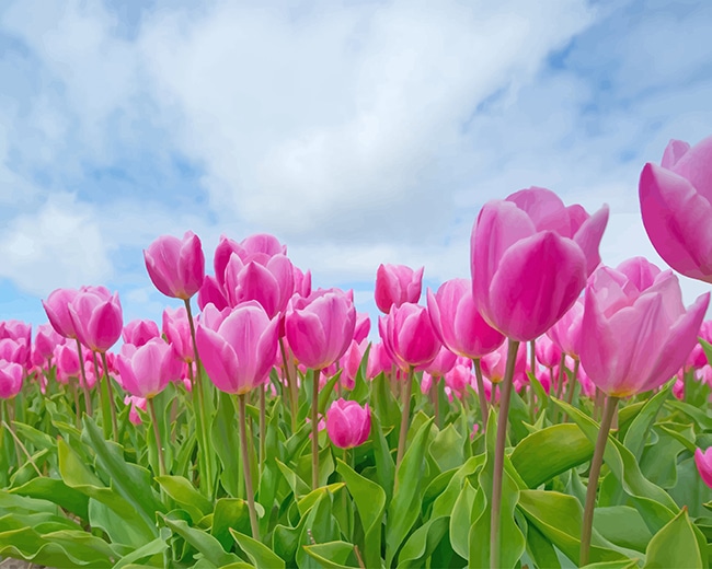 Completed Pink Tulips Spring Paint By Numbers Artwork