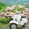 White Vespa Engine Theme Paint By Numbers