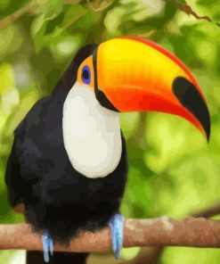 Toucan Modern Wildlife Paint By Numbers