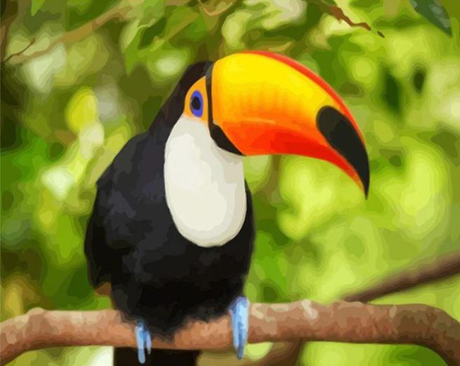 Toucan Modern Wildlife Paint By Numbers