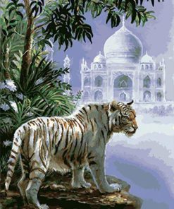 Majestic White Tiger Animal Paint By Numbers