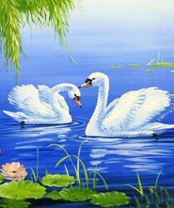 White Swan Birds Harmony Paint By Numbers
