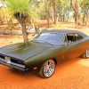 Dodge Charger Muscle Car Paint By Numbers
