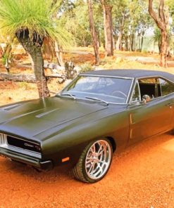 Dodge Charger Muscle Car Paint By Numbers