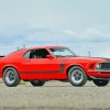 Ford Mustang Boss Vehicle Paint By Numbers