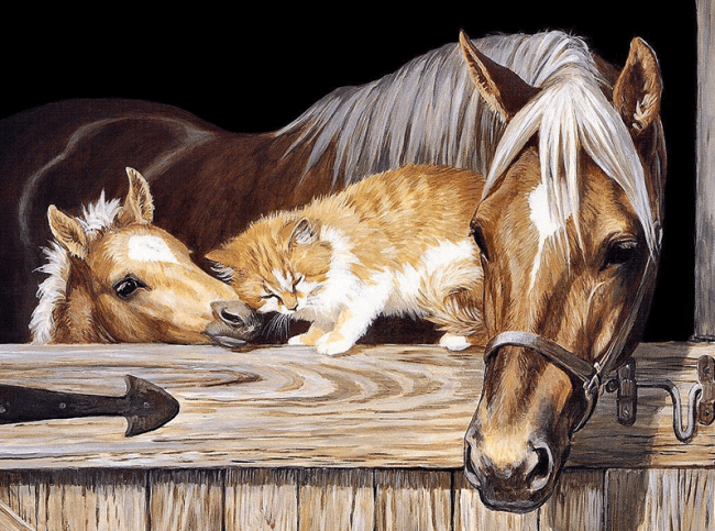 Horse and Cat Animals Paint By Numbers