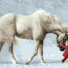 White Horse in Winter Animals Paint By Numbers