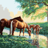 Horses Foal Paint By Numbers