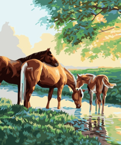Horses Foal Paint By Numbers
