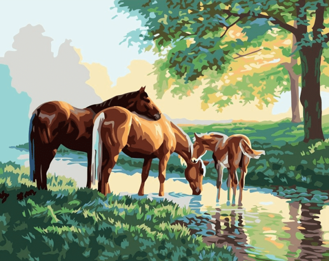 Horses Foal Paint By Numbers