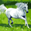 Majestic White Stallion Paint By Numbers