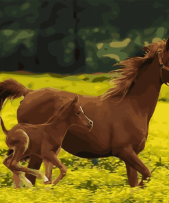 Horse Foals Paint By Numbers