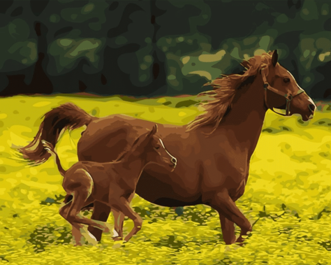 Horse Foals Paint By Numbers