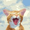 Screaming Cat Paint By Numbers