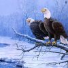 Winter Bald Eagle Paint By Numbers
