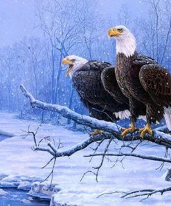 Winter Bald Eagle Paint By Numbers