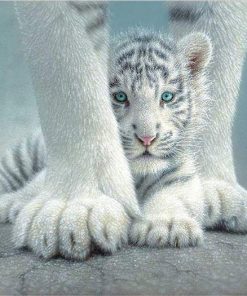 Cute White Tiger Paint By Numbers