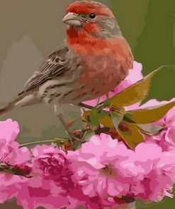 Finch Bird Painting Kit Paint By Numbers
