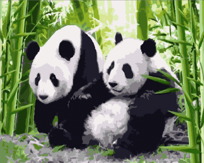 Adorable Panda Love Paint By Numbers