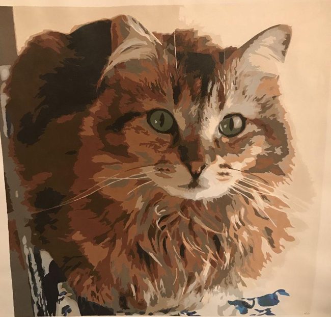 Create Your Custom Cat Paint By Numbers